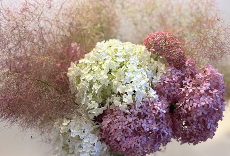 6月の草花