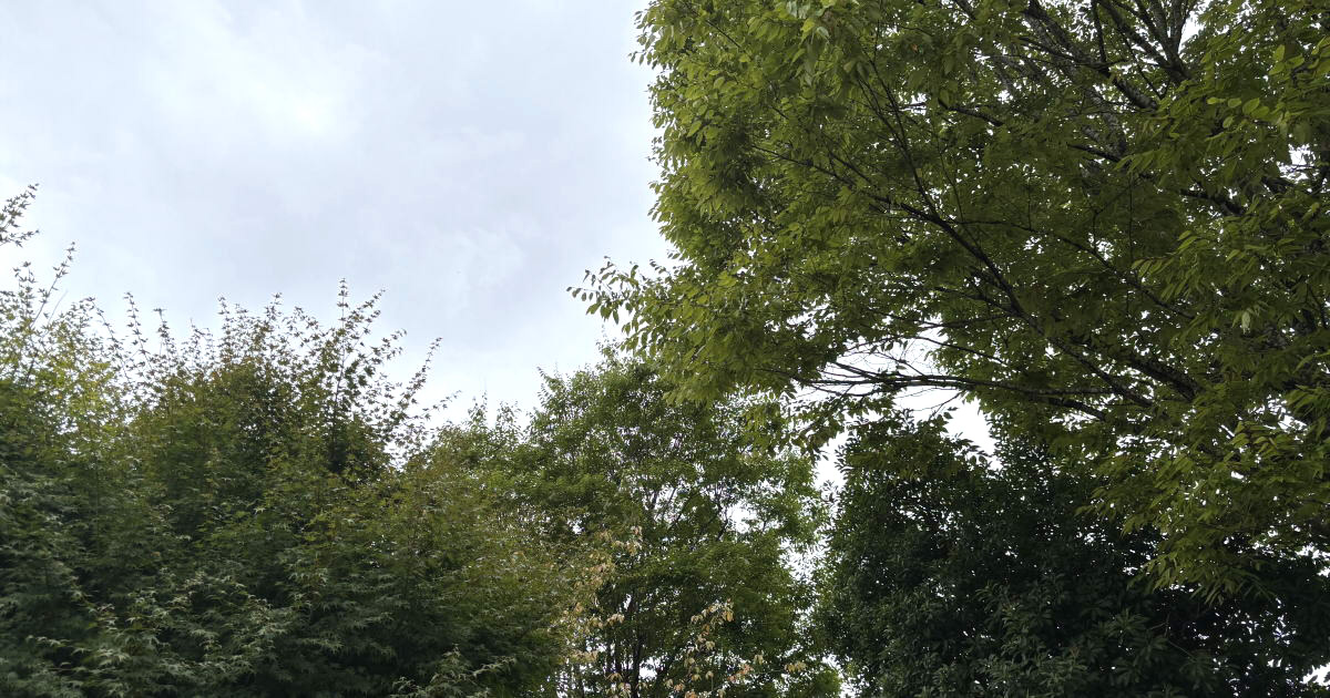 10月学校行事