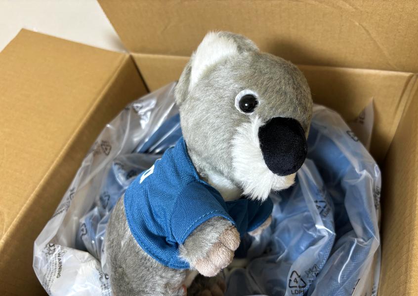 コアラマットレス購入レポブログ